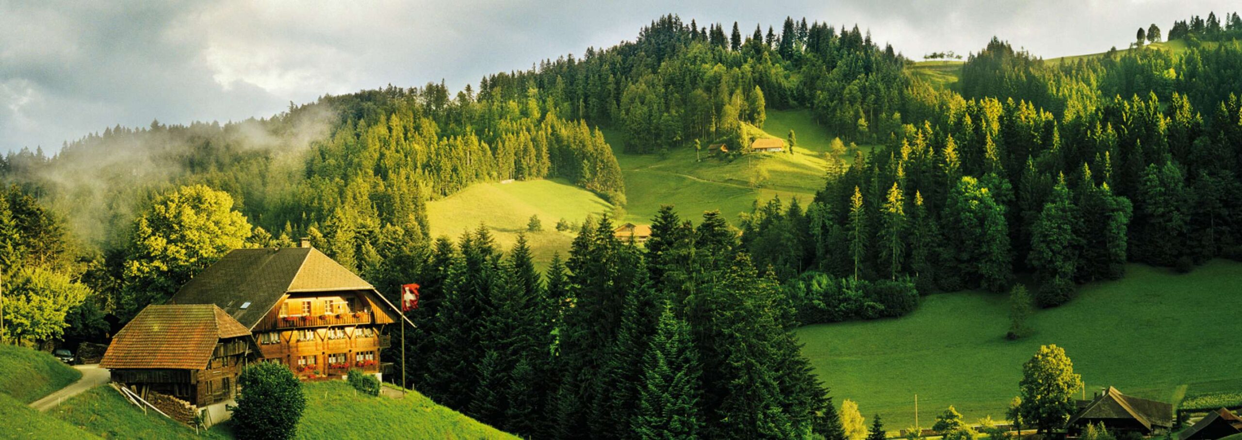 Introduction | Margot Fromages